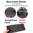 Busa Blower
