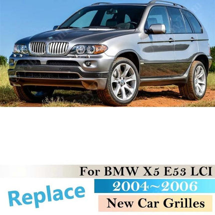 Kidney Grille For BMW E53 LCI Glossy Carbon Double Slat M Color X5