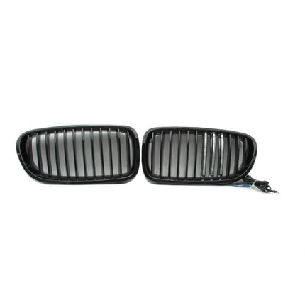 BMW LED M Color Kidney Grille Hidung Kap Matte Glossy F10 520i 523i