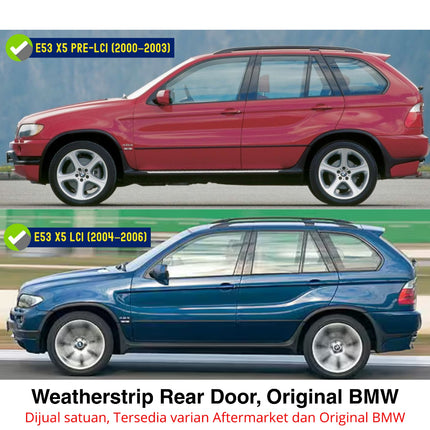 Weatherstrip BMW E53 Karet Lis Pelipit Pintu Kaca Samping Belakang Original Black Matte Channel Cover X5