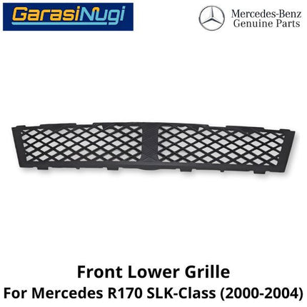 Fog Trim Mercy R170 Grill Cover Bumper Depan Bawah Mercedes SLK