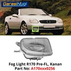 Right Pre-FL #0256